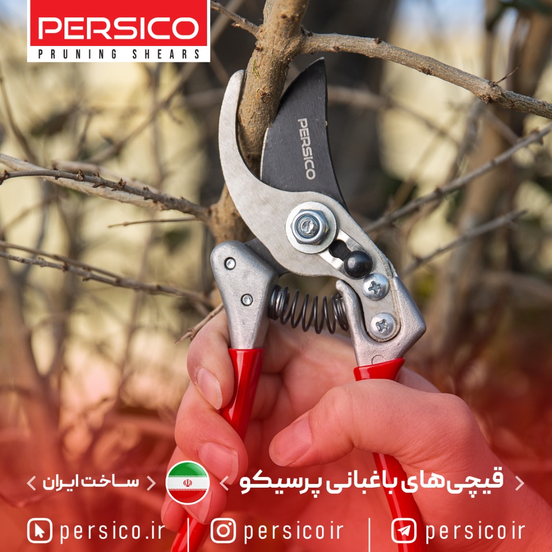 قیچی باغبانی پرسیکو ۰۰۶۳
