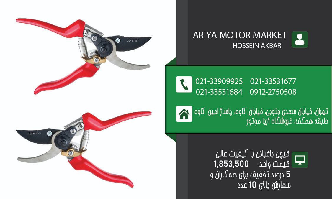 فروش ویژه قیچی باغبانیبا کارتن 60 