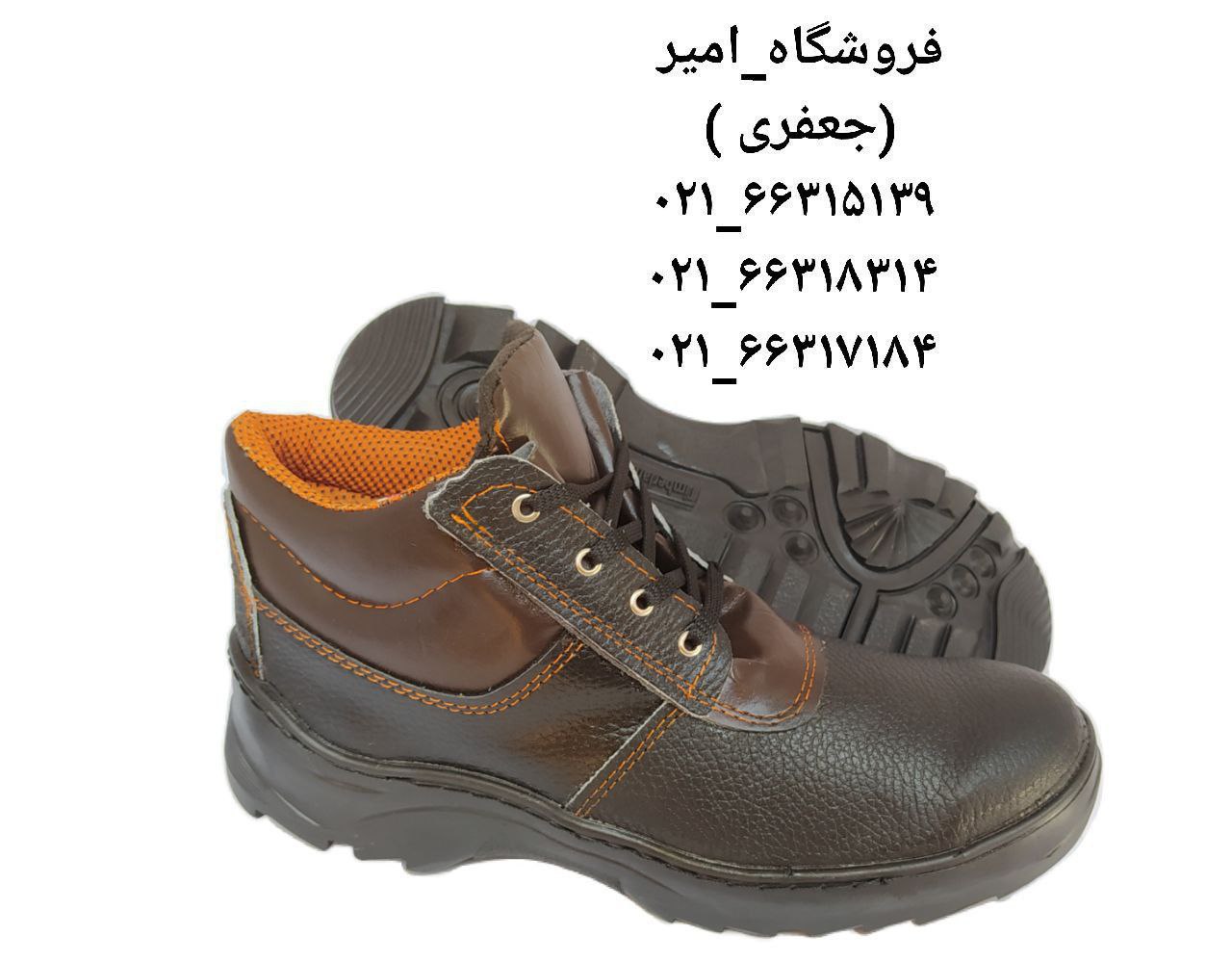 پخش کفش ایمنی زاگرستعداد در کارتن 