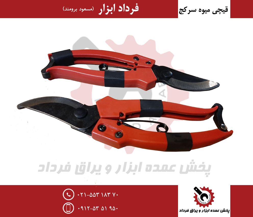 قیچی میوه چینی وکیومی سرکججنس درجه