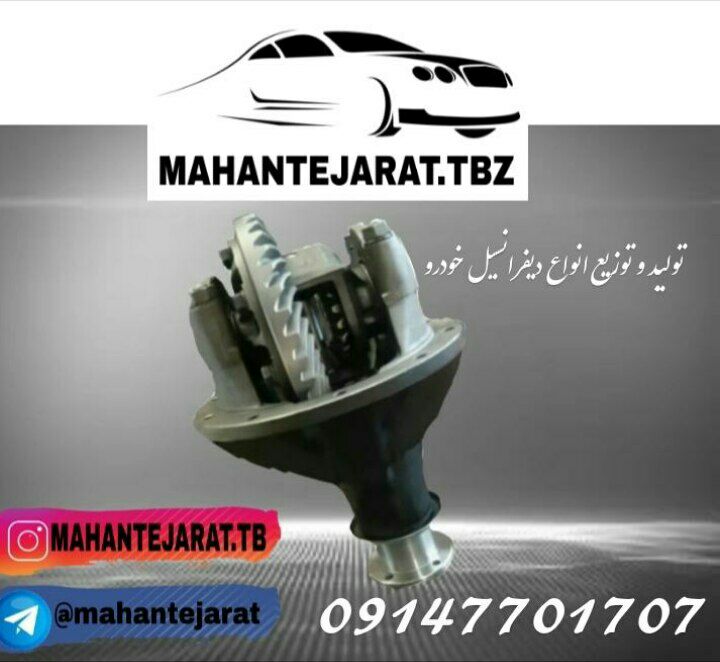 کله گاوی پیکان . آردی . روآ معمولی