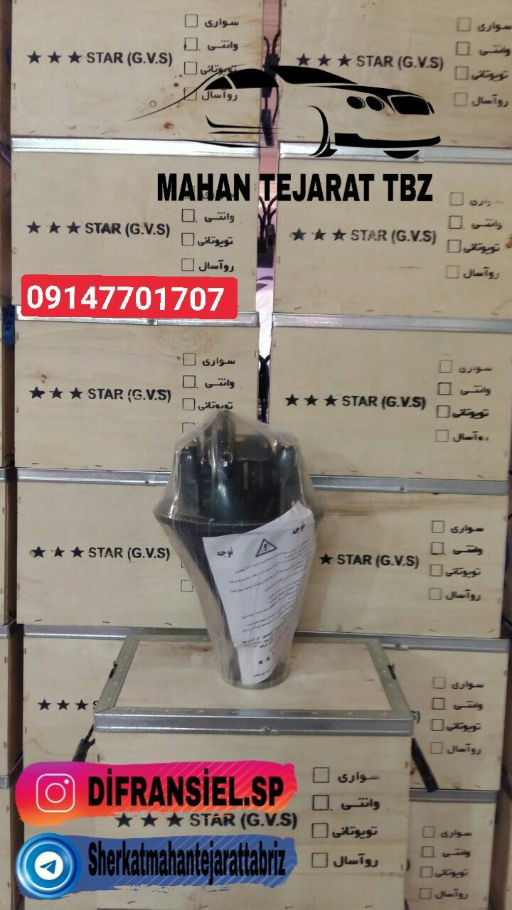 کله گاوی پیکان . آردی . روآ معمولی