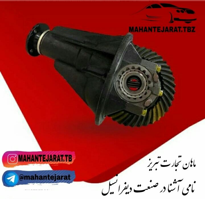 کله گاوی پیکان . آردی . روآ معمولی