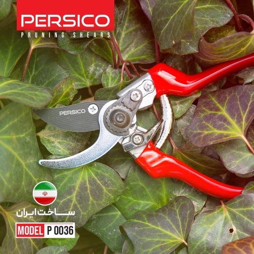 قیچی باغبانی پرسیکو