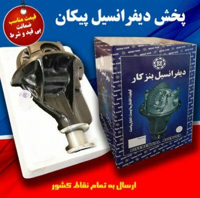 کله گاوی پیکان آردی - روآ سال و مع