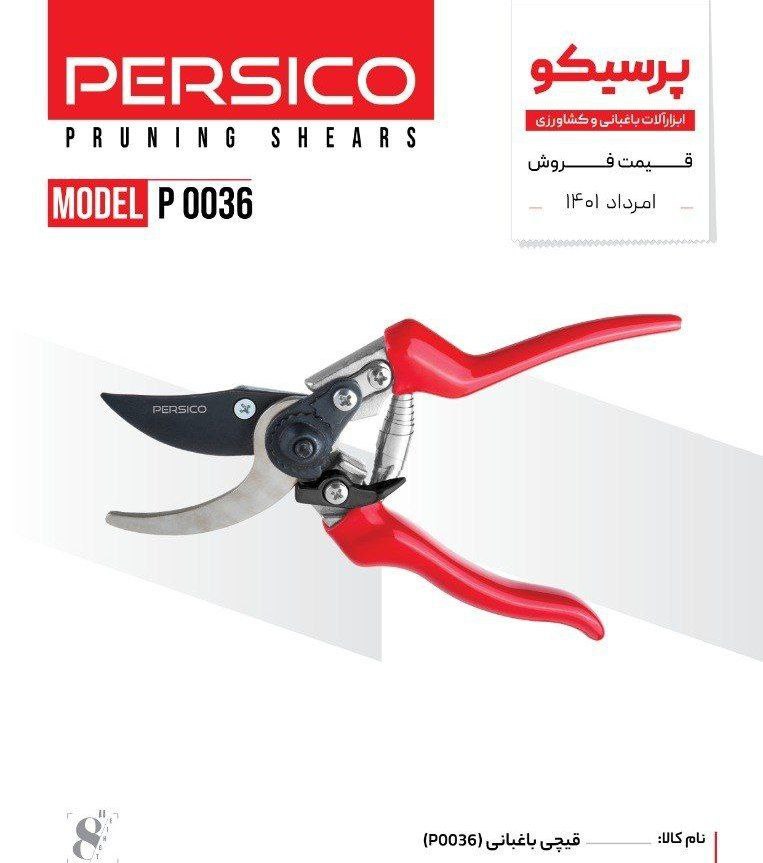 پریسکو