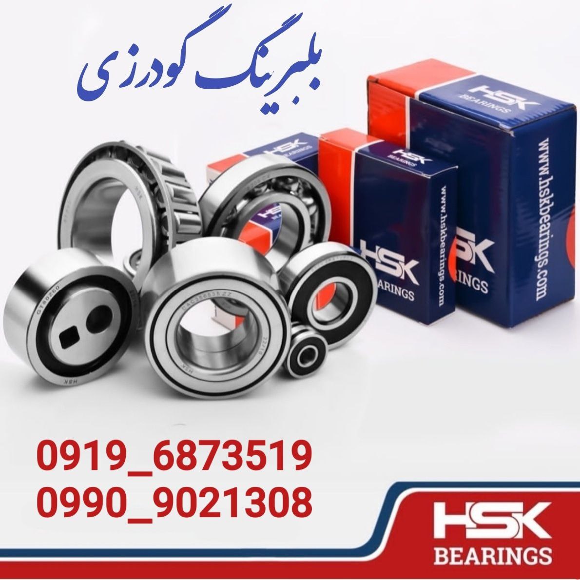 پخش بلبرینگ گودرزی(بازار تهران)   