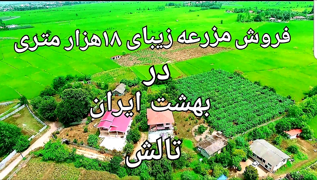 مزرعه 18هزارمتری در بهشت تالش