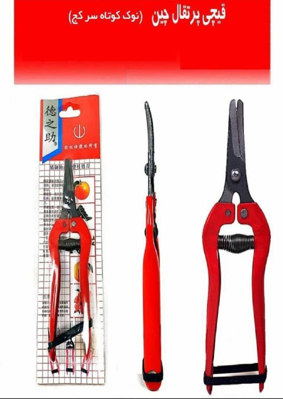 قيچي پرتغال چين نوك كوتاه سر كج با 