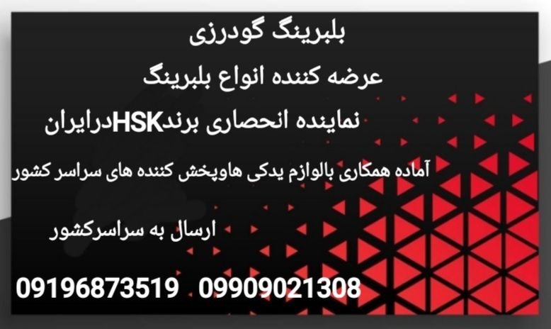 بلبرینگ گودرزینماینده انحصاری برن