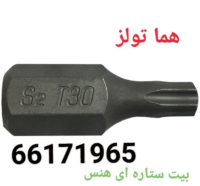 بیت کوتاه تی ۳۰ هنس و مستر تایوان