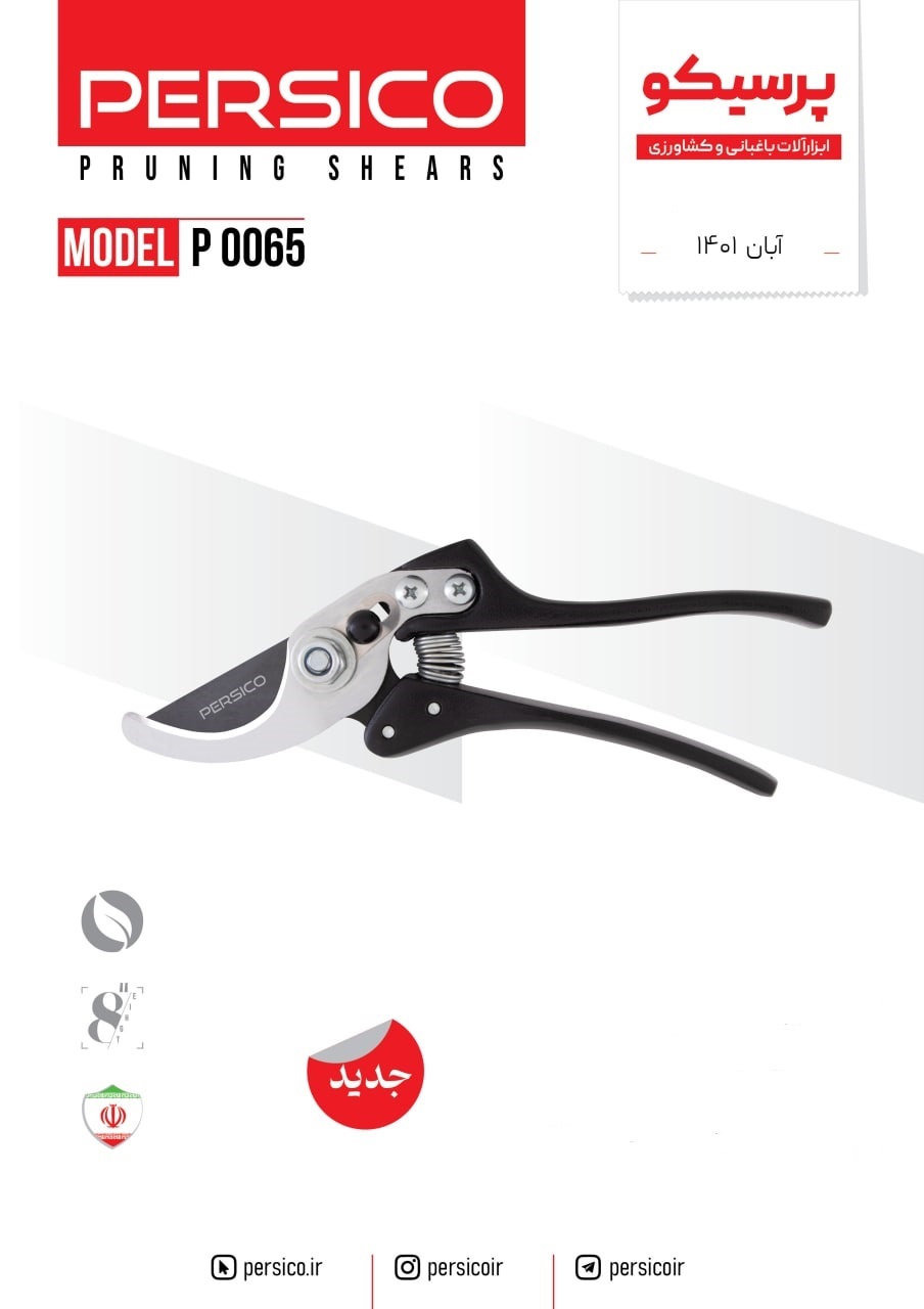 قیچی باغلانی