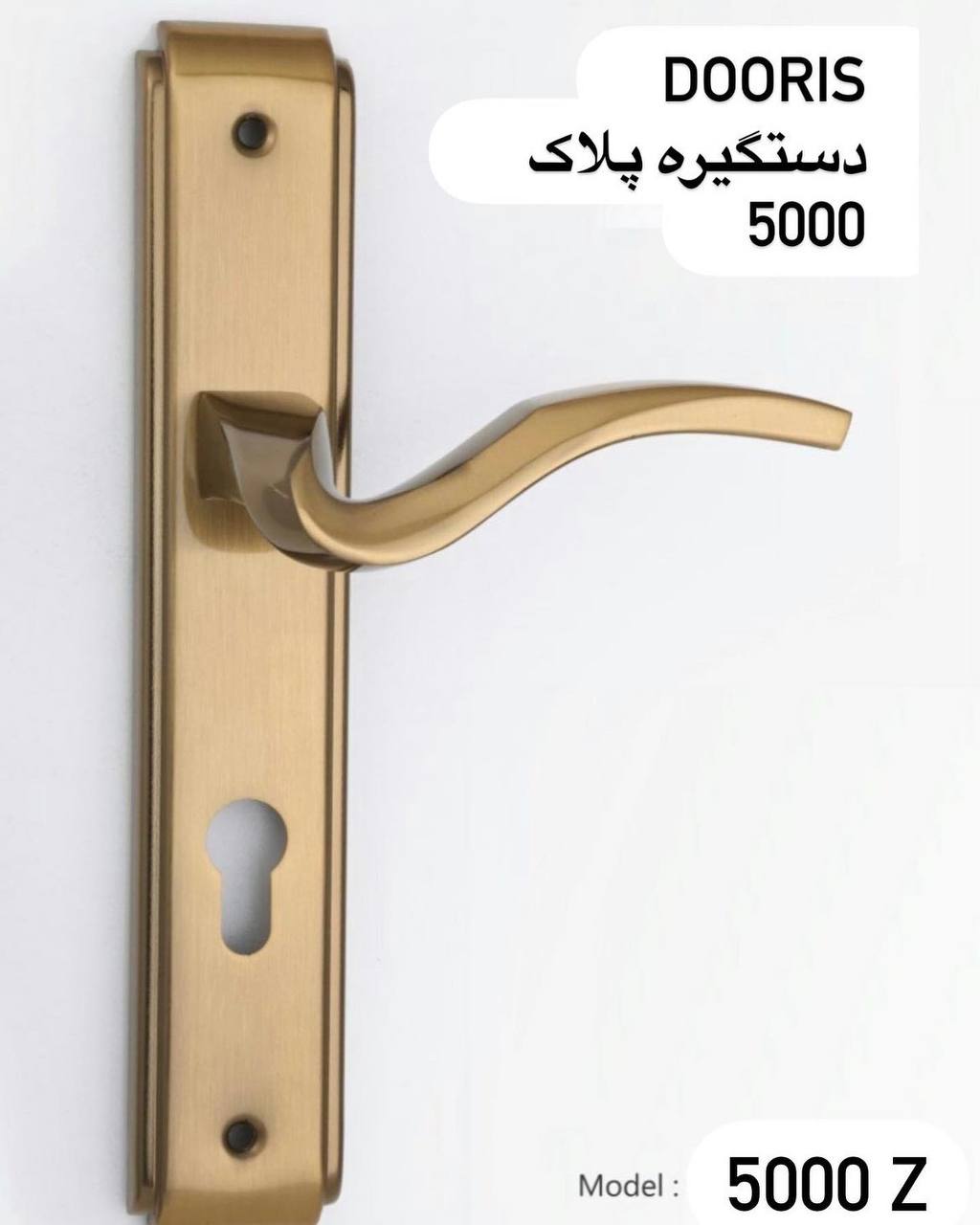 دستگیره پلاک دوریس کد 5000کیفیت ع