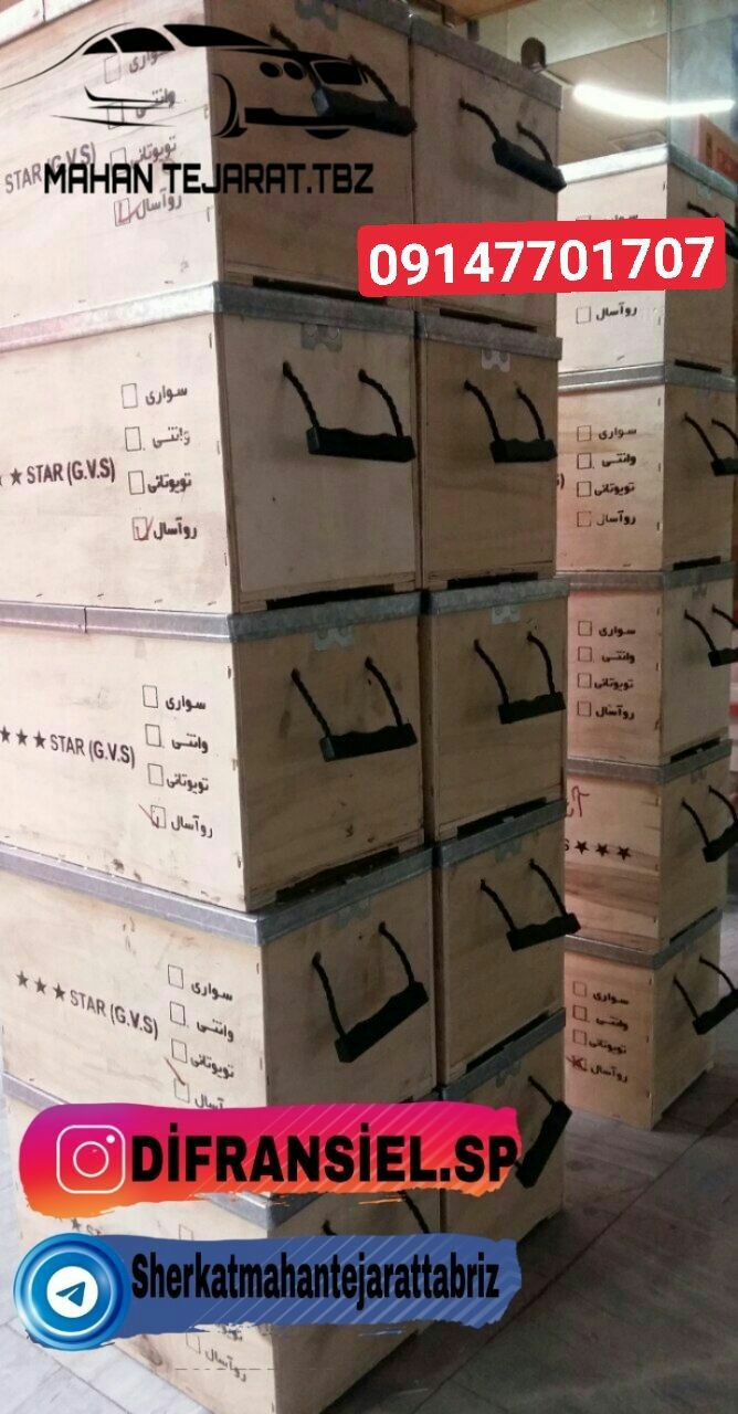 کله گاوی پیکان . آردی . روآ معمولی