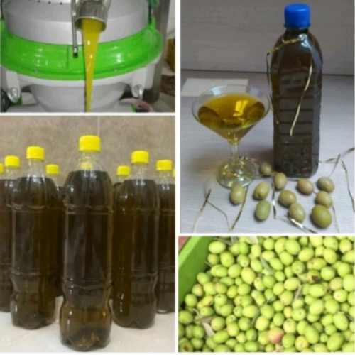 روغن زیتون و زیتون کنسروی اورگانیک