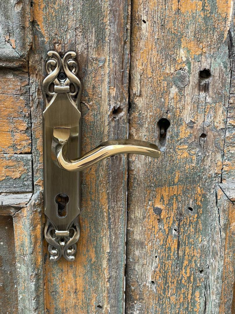 محصول جدیدگروه تولیدی دوریس مردان