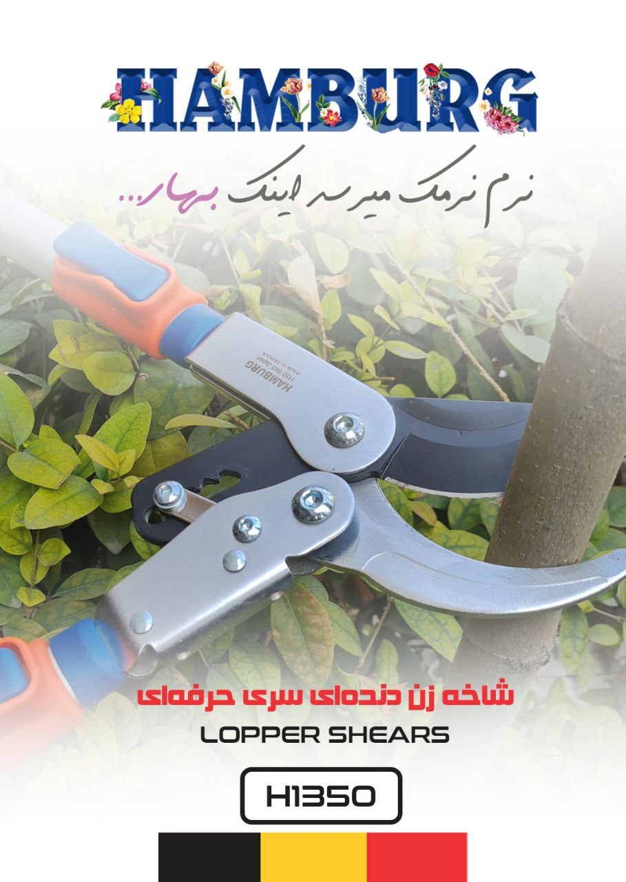 ? شاخه زن دنده ای با دسته تلسکوپی ه