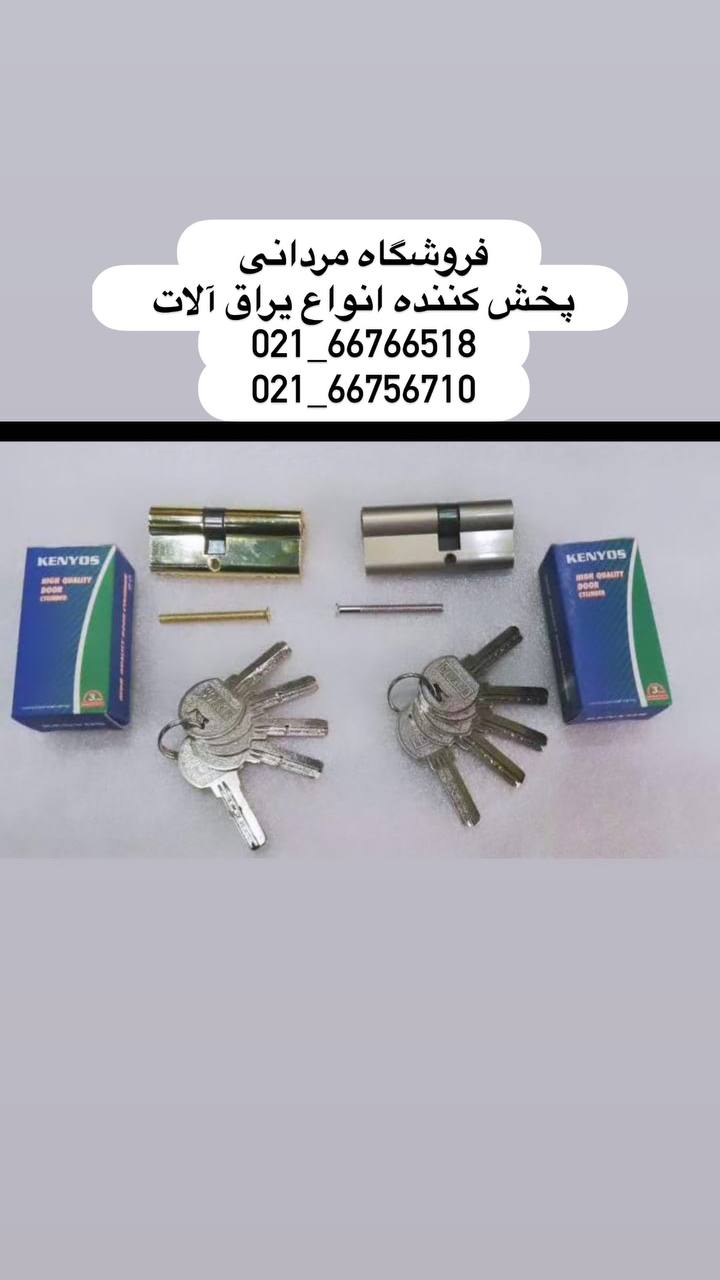 سیلندر ۵ کلید کامپیوتری سیلورو و طل
