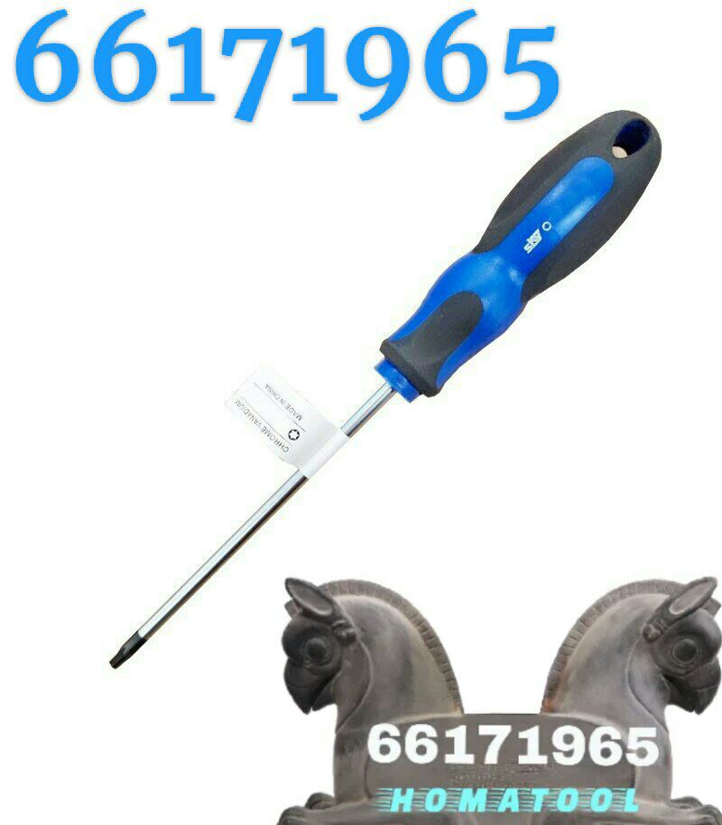 پیچ گوشتی تی T30 اسکایبرندSKY 