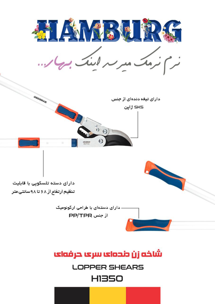 نرم نرمک می‌رسد اینک بهار...? شاخ
