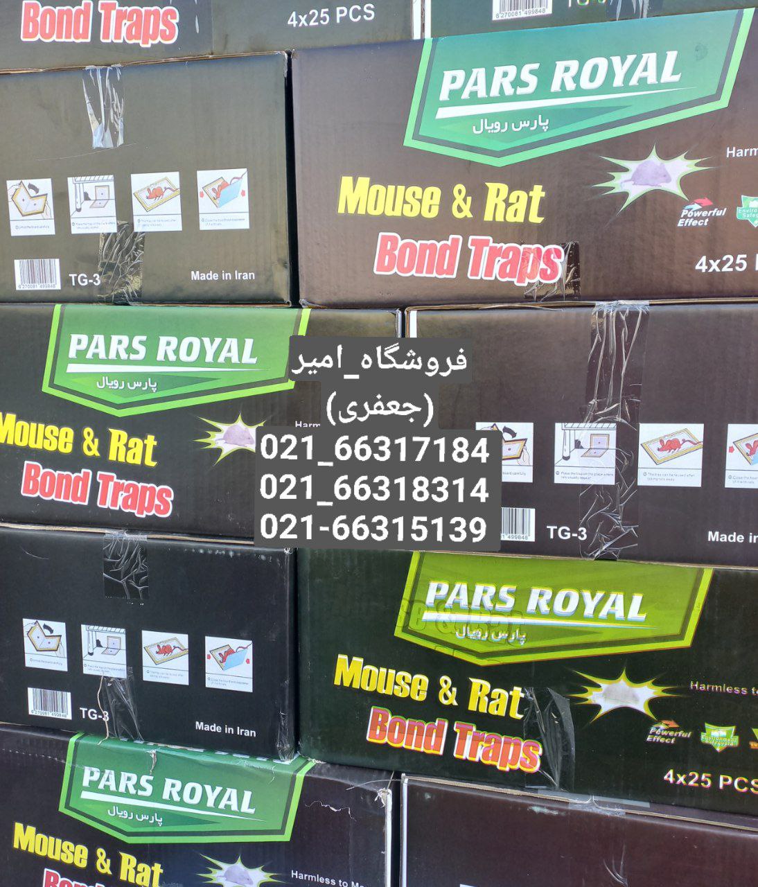 چسب موش کتابی رسید