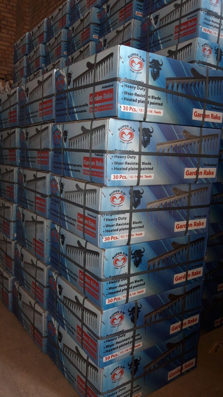 شنکش ایرانی