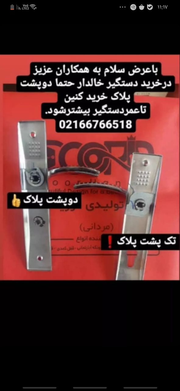 کروم /زیتونی 