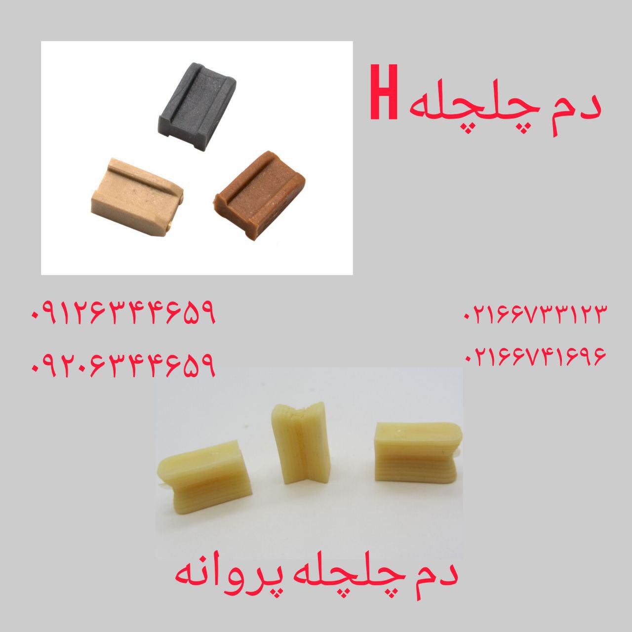 ⭕️ دم چلچله H