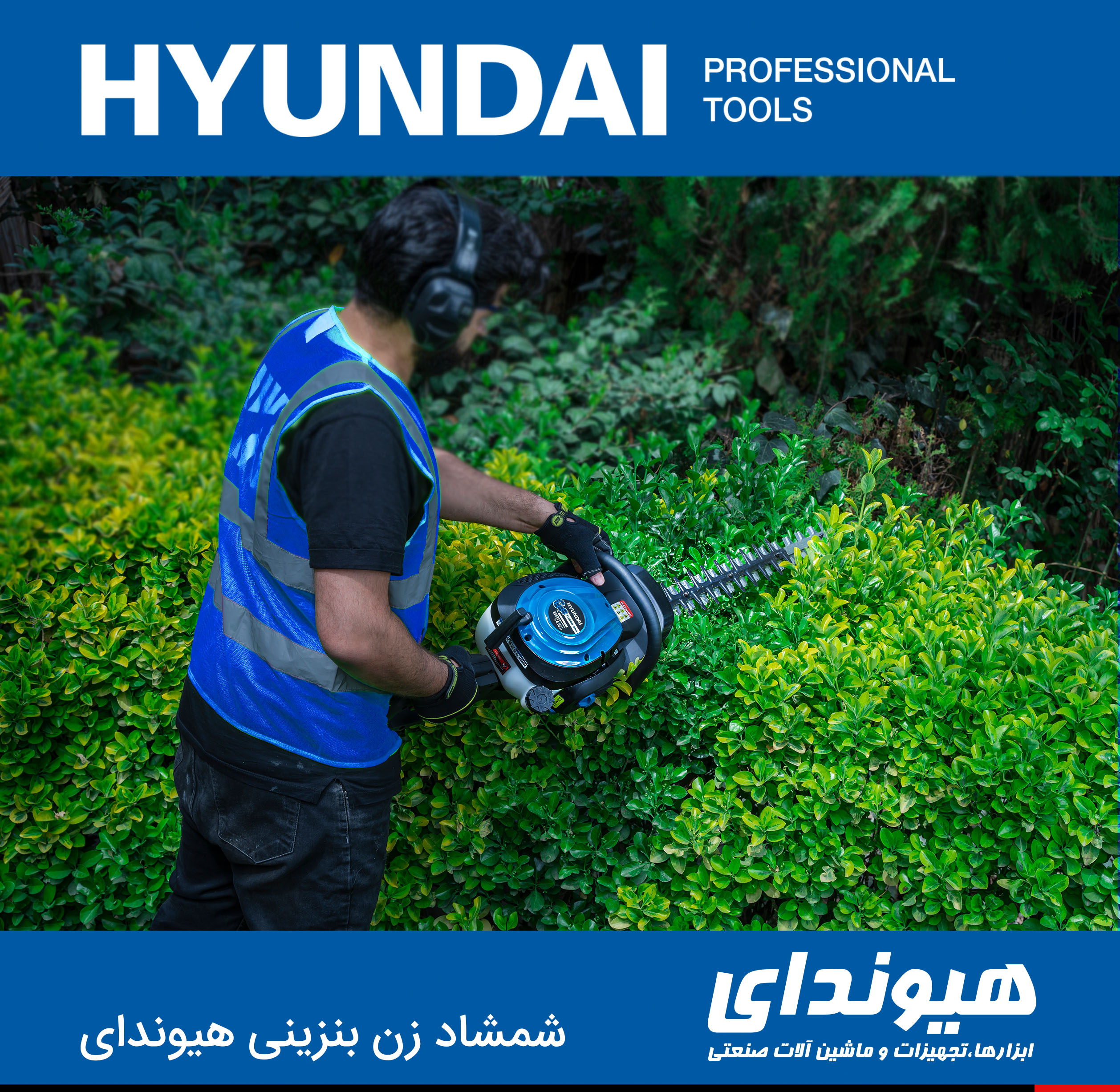 شمشاد زن هیوندای