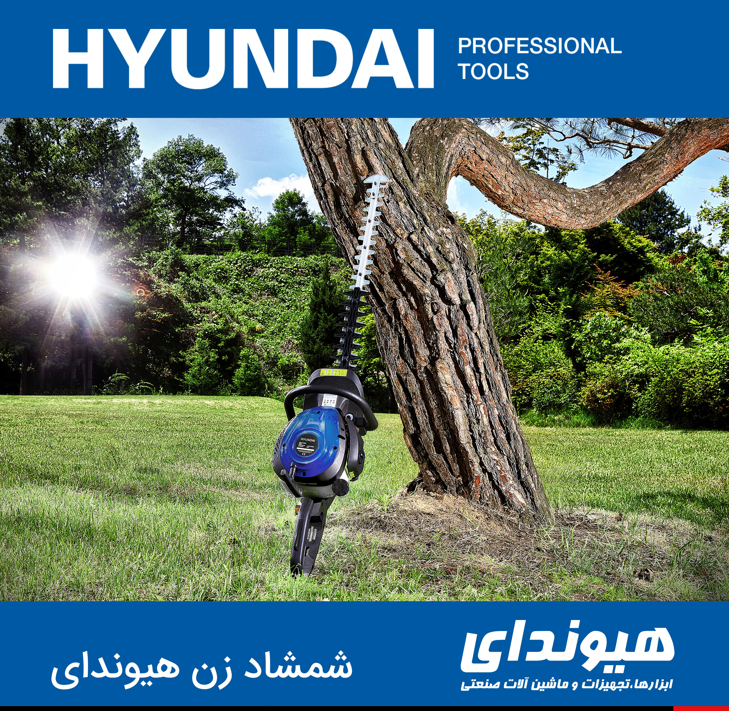 شمشاد زن هیوندای