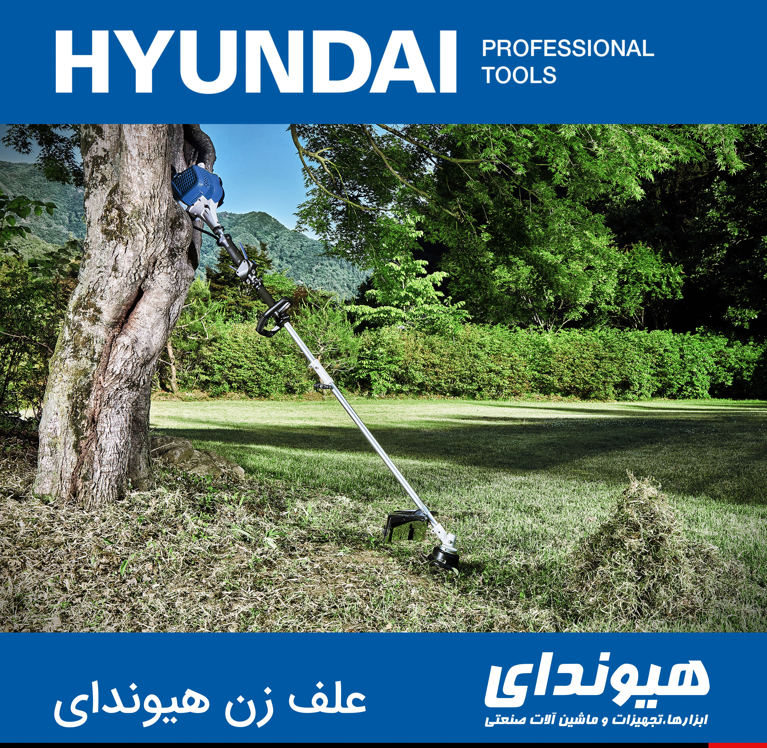 علف زن هیوندای