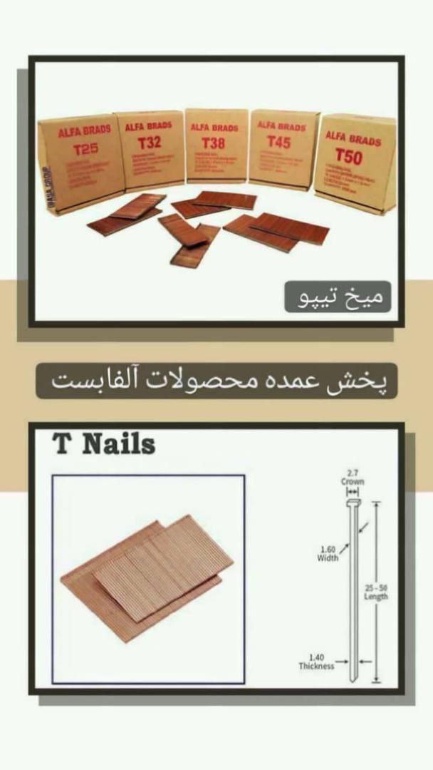 میخ تیپو 