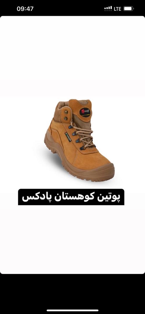 کفش کوهستان