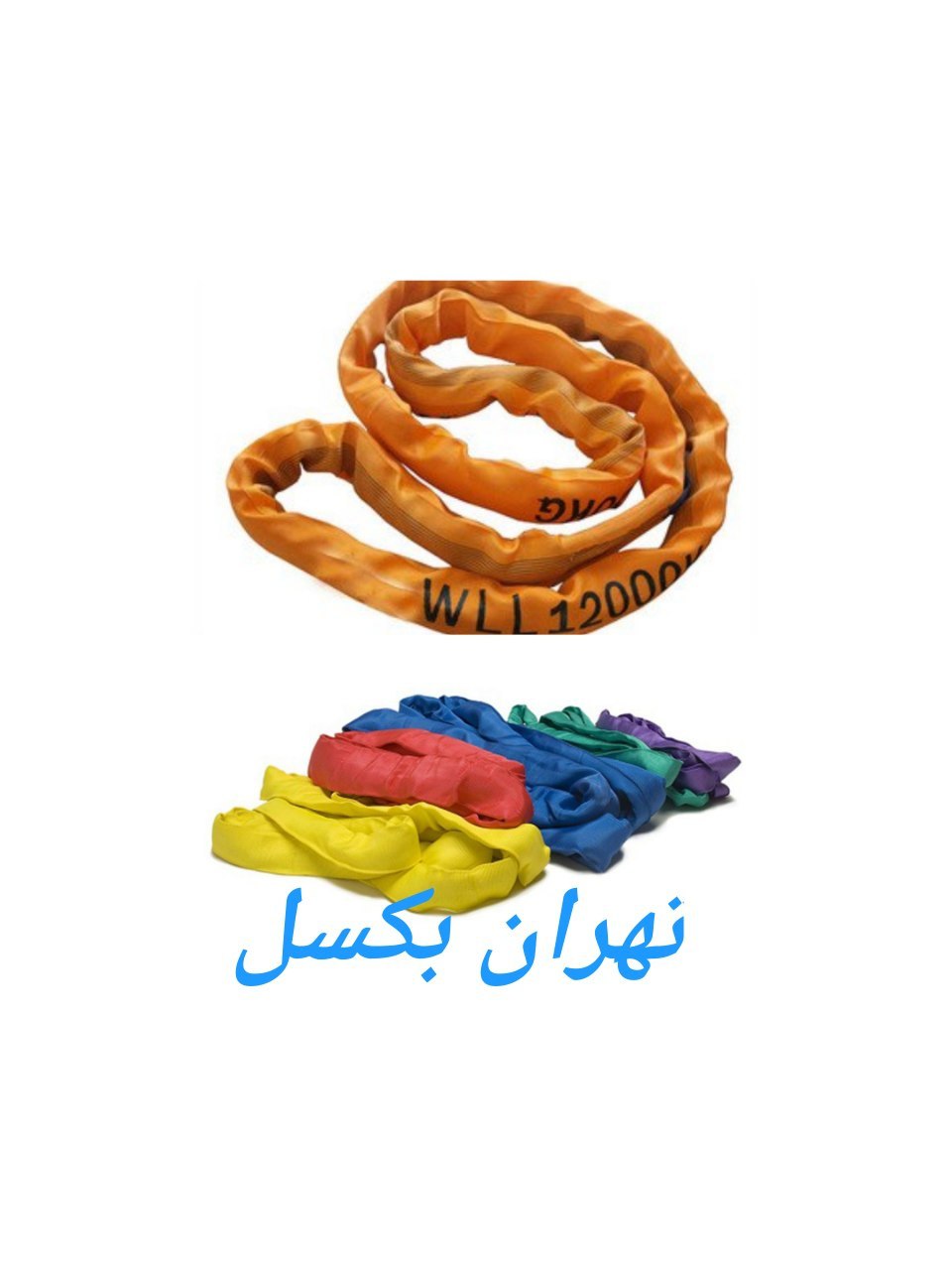 پخش تسمه شالی گرد