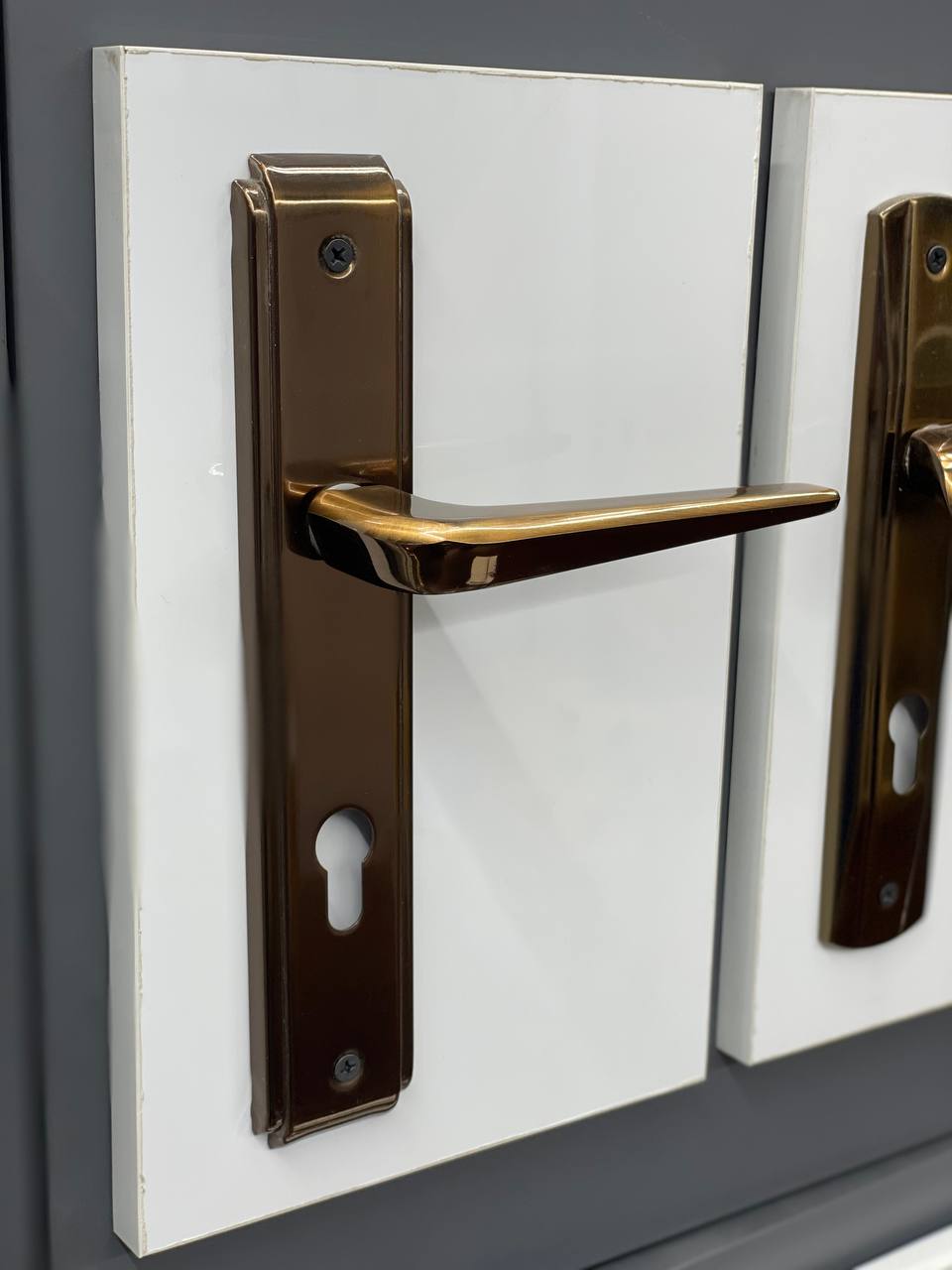 دستگیره پلاک ایرانی