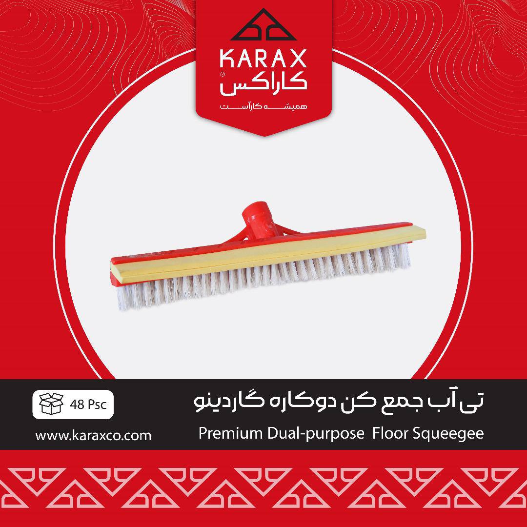 کاراکسkarax
