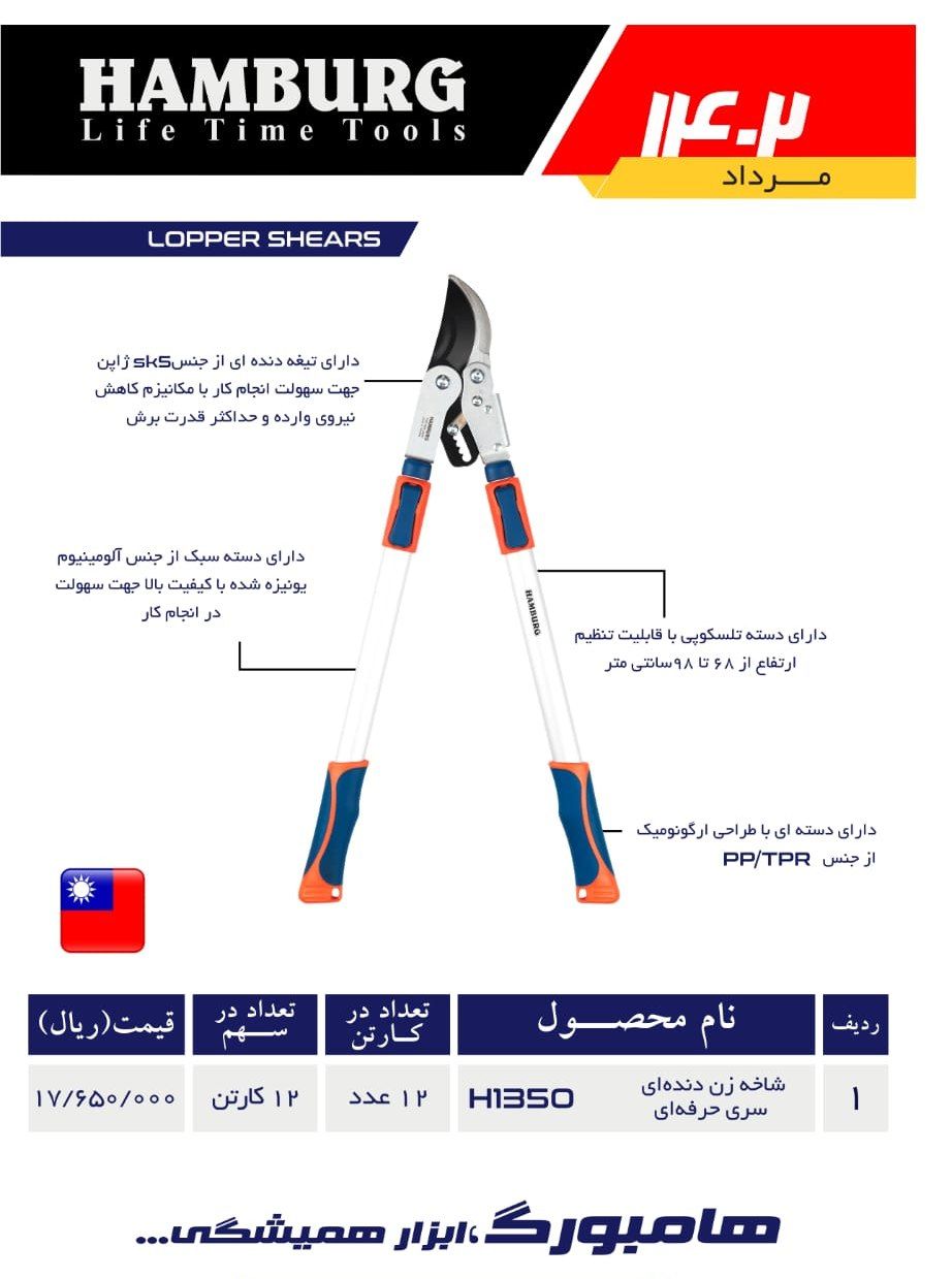 شاخه زن دسته تلسکوپی دنده ای سری حرفه ای هامبورگ