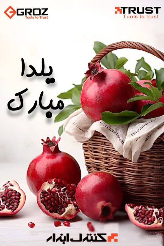 شرکت کنترل ابزار شریک تجاری محصولات برند گروز و تراست در ایران