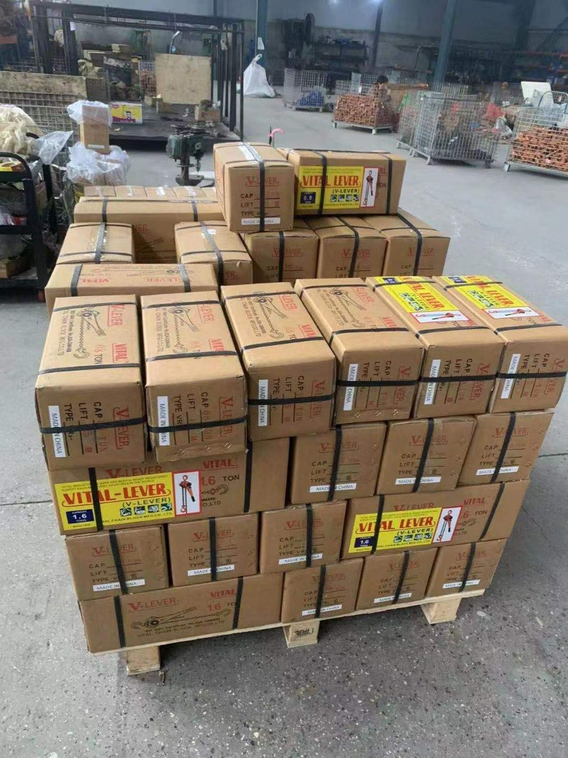  پولیفت ویتال زنجیری طرح ژاپن پخش مستقيم انواع پوليفت طرح ويتال 250 KG 800 KG 1/6 T 3/2 T 6/3 T 9 T 