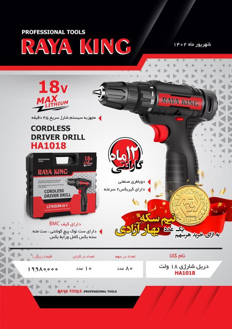 دریل پیچ گوشتی رایا