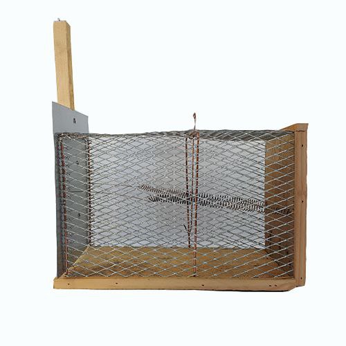 #تله_موش_قفسی