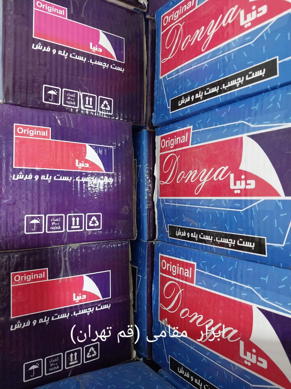 بست پله دنیا