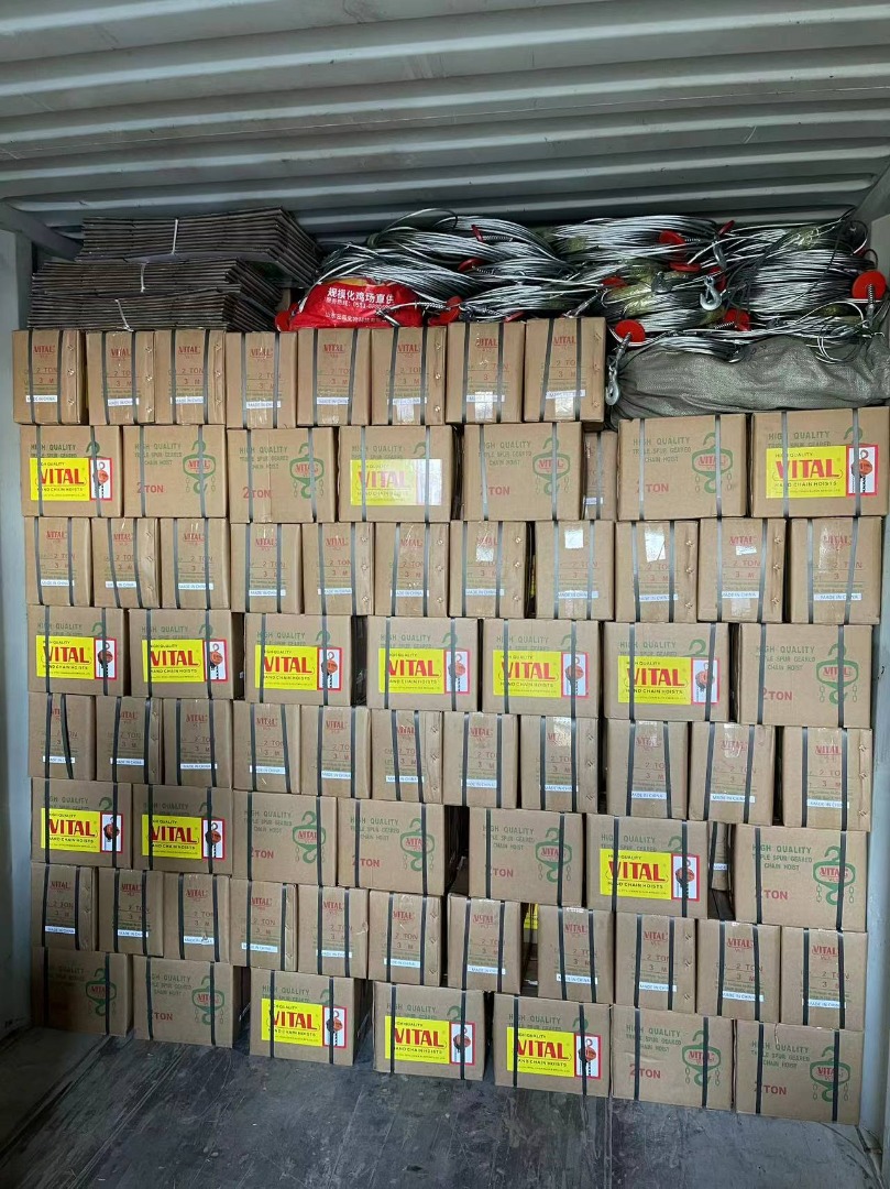  پولیفت ویتال زنجیری طرح ژاپن پخش مستقيم انواع پوليفت طرح ويتال 250 KG 800 KG 1/6 T 3/2 T 6/3 T 9 T 