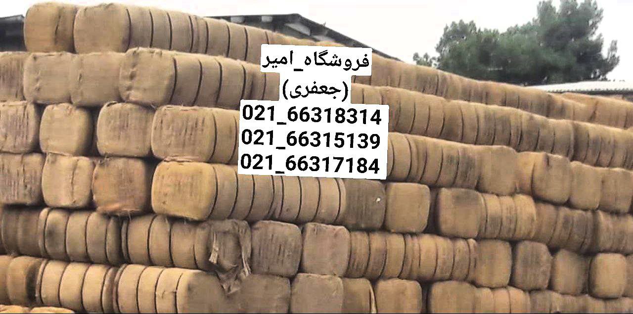 پخش گونی چتایی بنگال