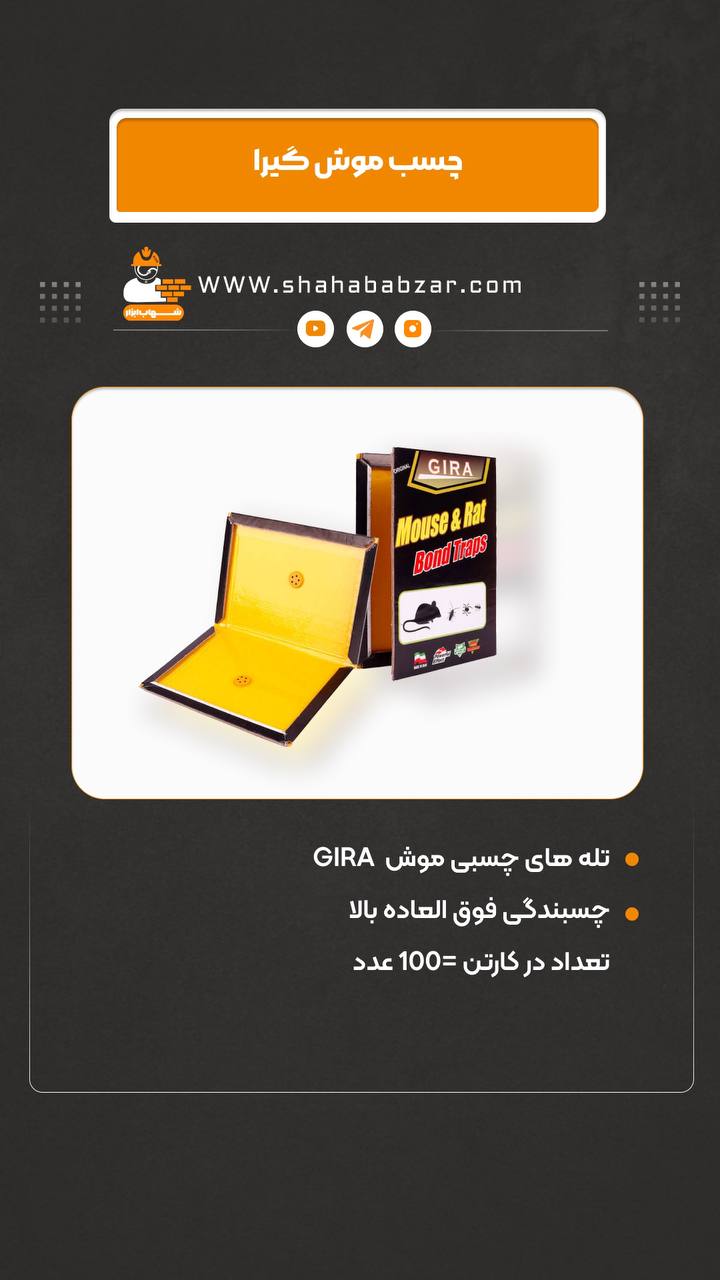چسب موش گیر ( تله موش )