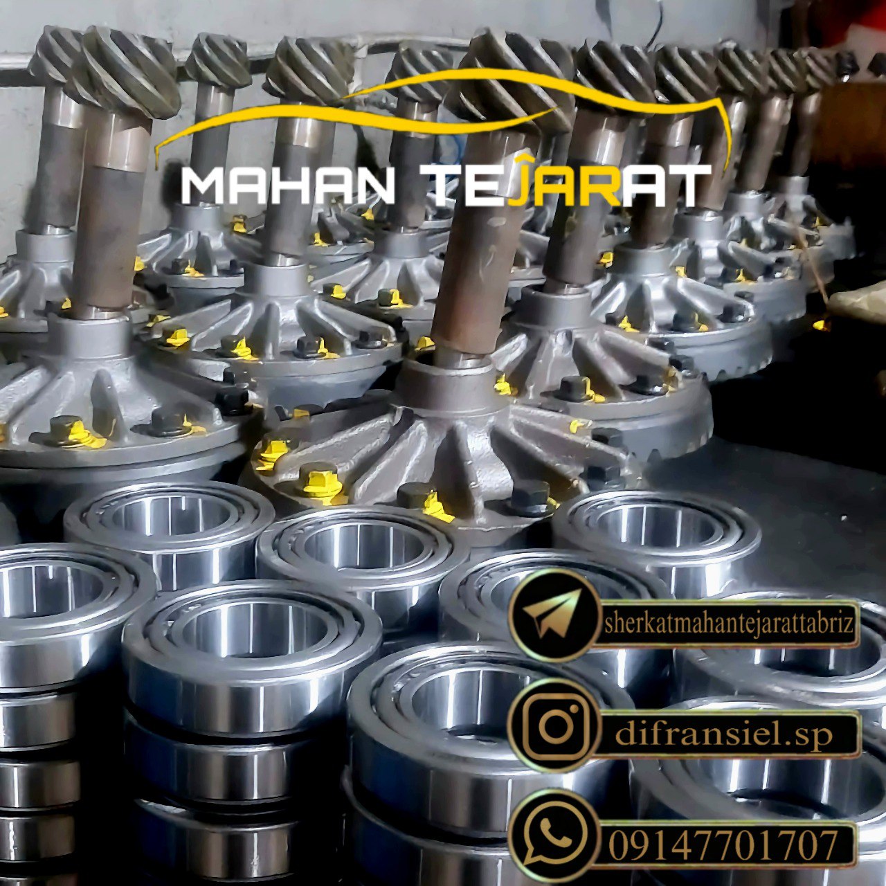 بهترین قطعات استفاده شده در کله گاویهای پیکان . آردی . روآ معمولی روآ🟥🟥‼️‼️‼️‼️