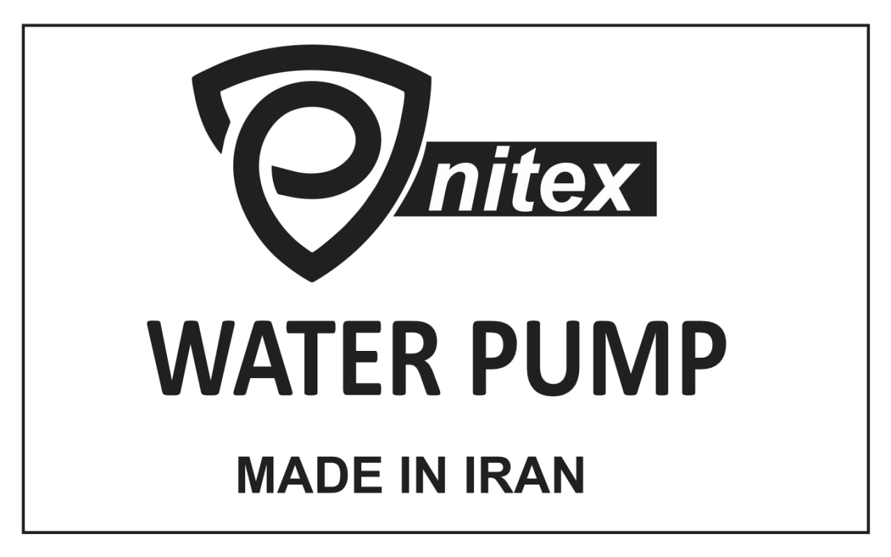 پنیتکس 