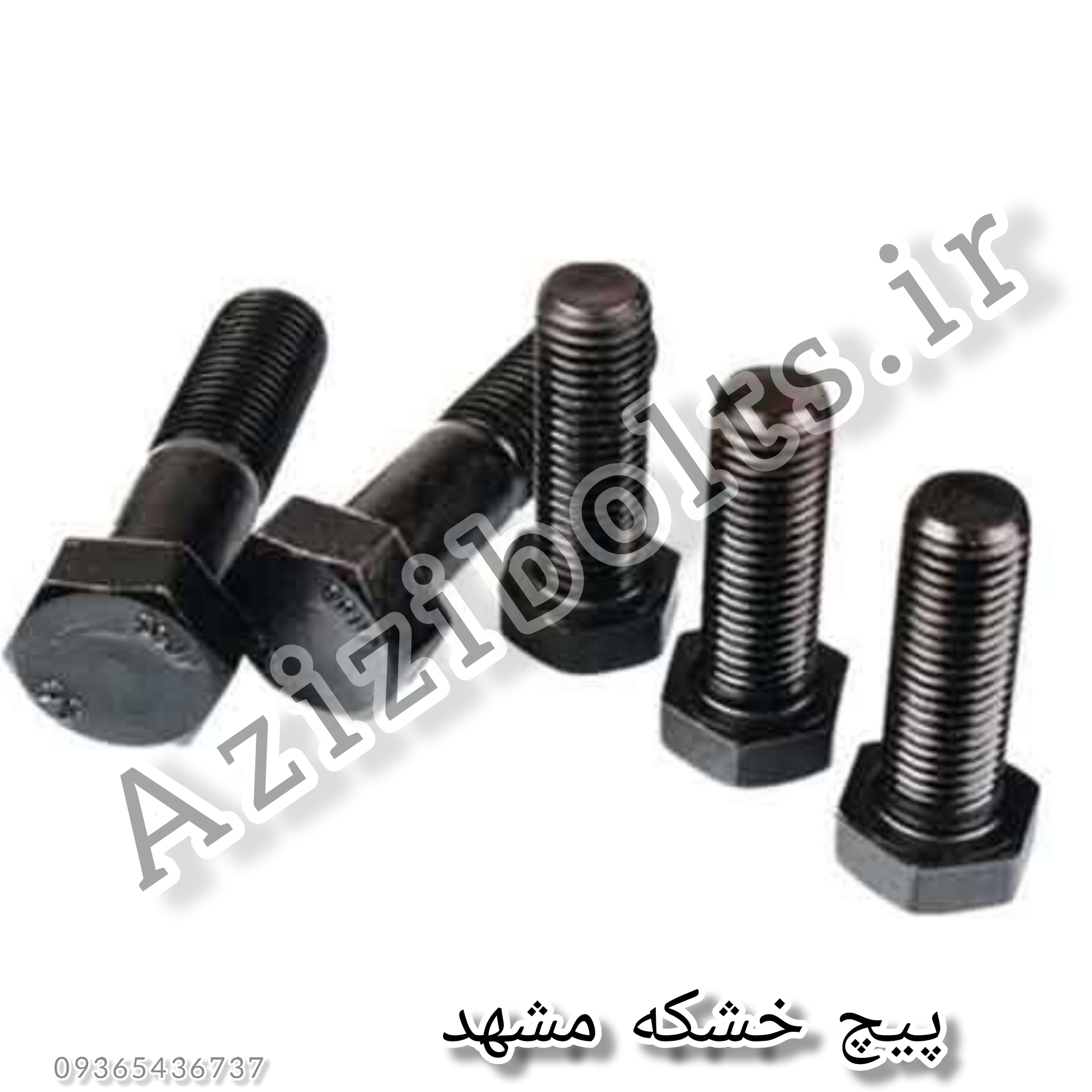 پیچ فروشی مشهد / پیچ و مهره فروشی مشهد 
