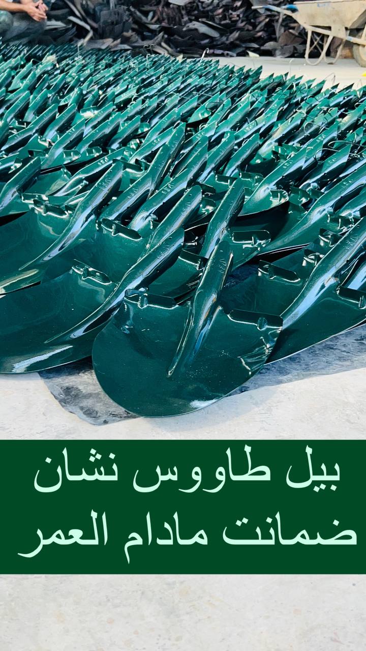 بیل های کشاورزی طاووس نشان 