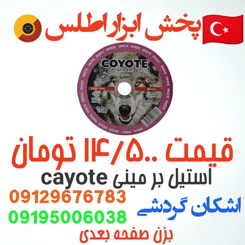 استیل بر مینی cayote ترکیه 